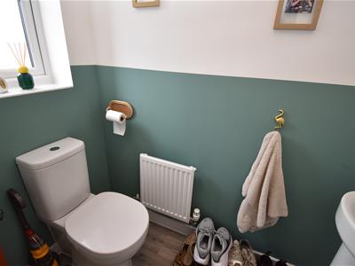 Picture 7